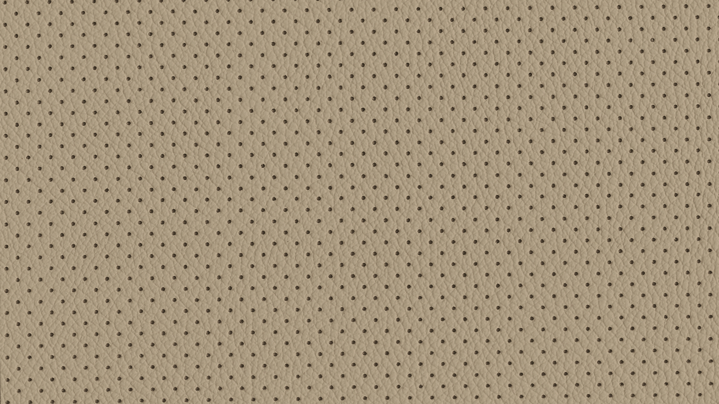 GENUINE LEATHER - BEIGE